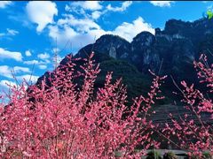 -高岚大峡谷旅游度假区
