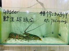 -海盗餐厅