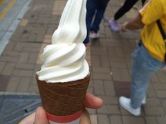-富豪雪糕车流动点(尖沙咀店)
