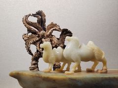 -大连自然博物馆