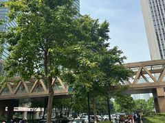 -杭州国际会议中心洲际酒店-德国啤酒屋(砂之船国际生活广场店)