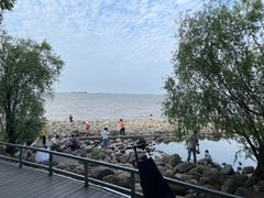 -上海吴淞炮台湾国家湿地公园