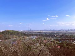 -上海佘山国家森林公园西佘山园