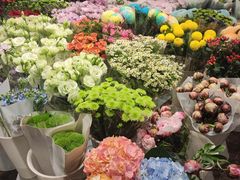 -双季花艺园艺市场(浦东店)