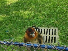 -大连森林动物园