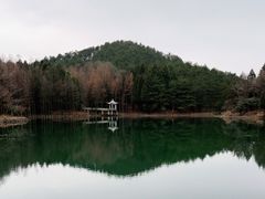 -四明山国家森林公园