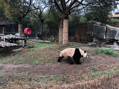 -宁波野生动物园
