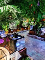 -酷嗒动物文化乐园(cutezoo西溪乐天城店)