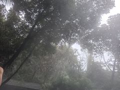 -融汇温泉