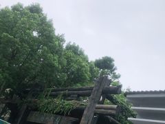 -天目湖山水园