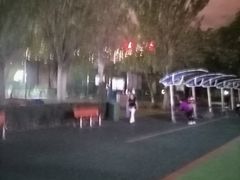 -碑林公园