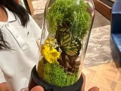 -大连金石滩绿发温泉假日酒店