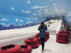 -世界之窗阿尔卑斯冰雪世界