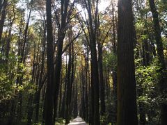 -同里国家湿地公园