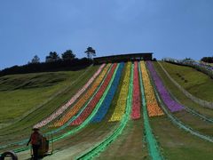 -衢州飞鸿滑草场