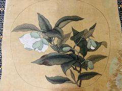 -六出私塾LiuChu•成人美术书法系统课程专业画室(熊婆婆的花园店)