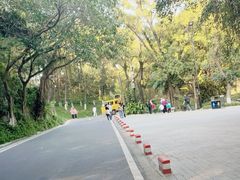 -广州市白云山风景名胜区