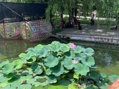 -北陵公园