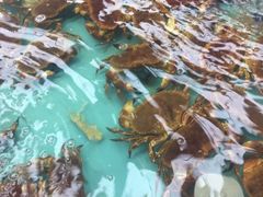-盒马鲜生(宝地店)