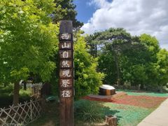 -北京西山国家森林公园