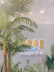 -八佰伴8008星级形象店