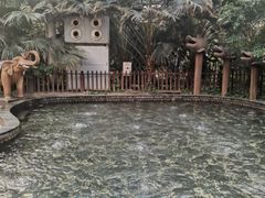 -龙达温泉生态城