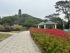 -红花山公园