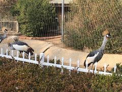 -大连老虎滩海洋公园