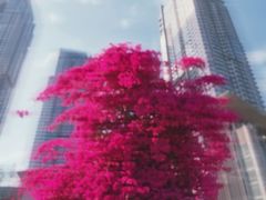 -日月光中心广场