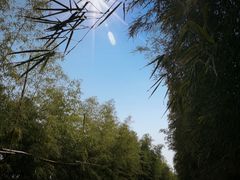 -武汉紫薇都市田园