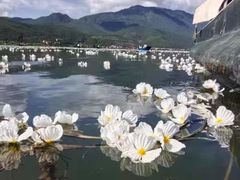 -丽江泸沽湖景区