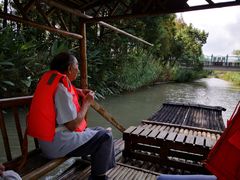 -上海长兴岛郊野公园