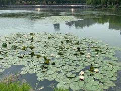 -后襄河公园