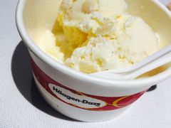 哈根达斯-领鲜活海鲜榴莲自助火锅(东门店)