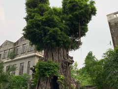 -荔湾博物馆