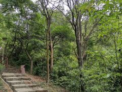 -大雁山风景区