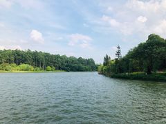 -南国桃园旅游度假区