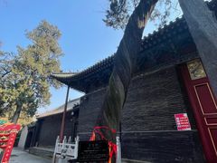 -关林
