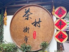 -天目湖山水园
