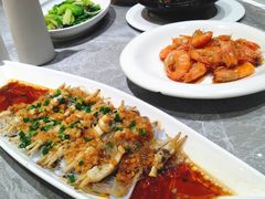 -老绍兴养和饭店(向阳不夜城店)
