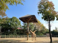 -上海野生动物园