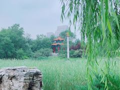 -滨河世纪广场公园