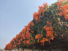 -中国移动南方基地