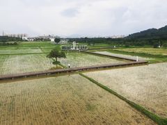 -艾米稻香小镇