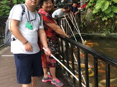 -呀诺达热带雨林