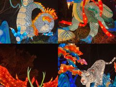 -欢乐海岸椰林沙滩-2025湾区超级灯会