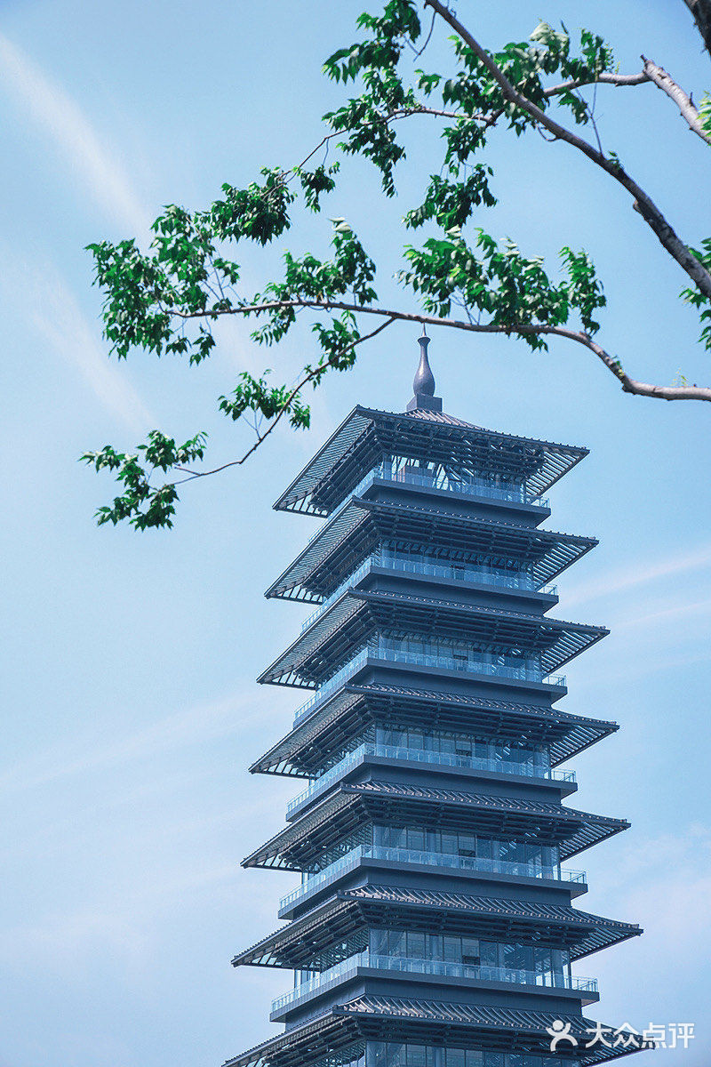 刚开幕就爆满，大运河博物馆如何做到成功出圈？