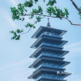 刚开幕就爆满，大运河博物馆如何做到成功出圈？