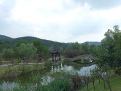 -石塘人家