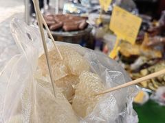 -西双版纳傣族园